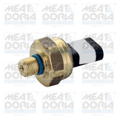 Sensor, fuel pressure